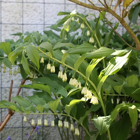 Апартаменты Stadtwohnung Штадтхаген